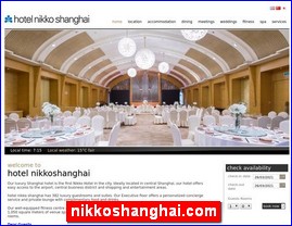 nikkoshanghai.com