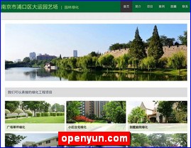 openyun.com