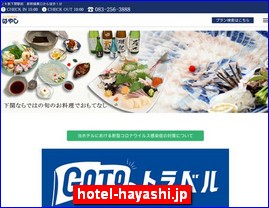 Hotels in Japan, hotel-hayashi.jp