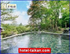 Hotels in Japan, hotel-taikan.com