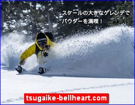 Hotels in Nagano, Japan, tsugaike-bellheart.com