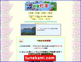 Hotels in Japan, tunekami.com