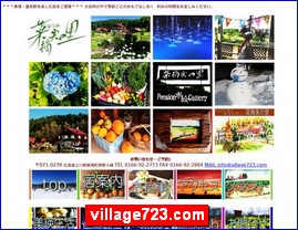 Hotels in Japan, village723.com